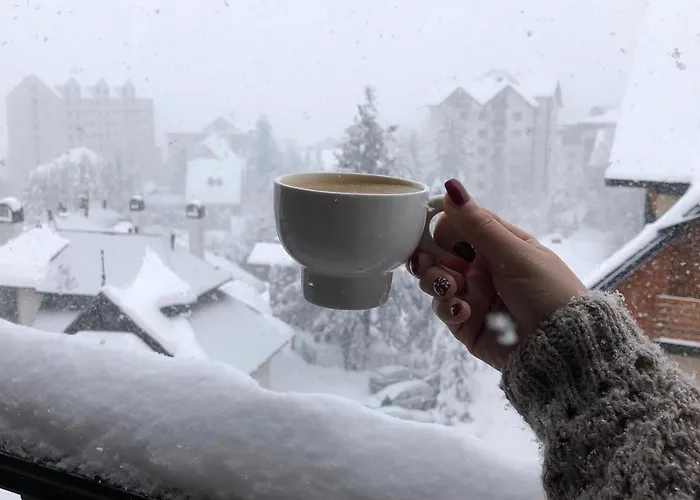 Διαμέρισμα Zlatiborski Vrh *